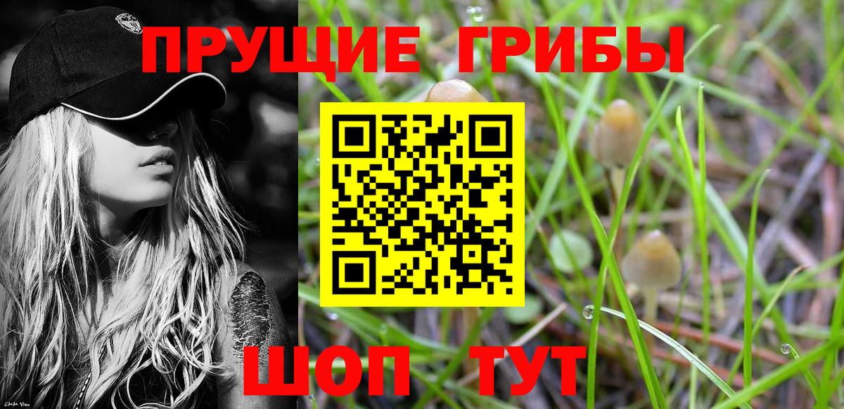 Галлюциногенные грибы прущие грибы Ливны