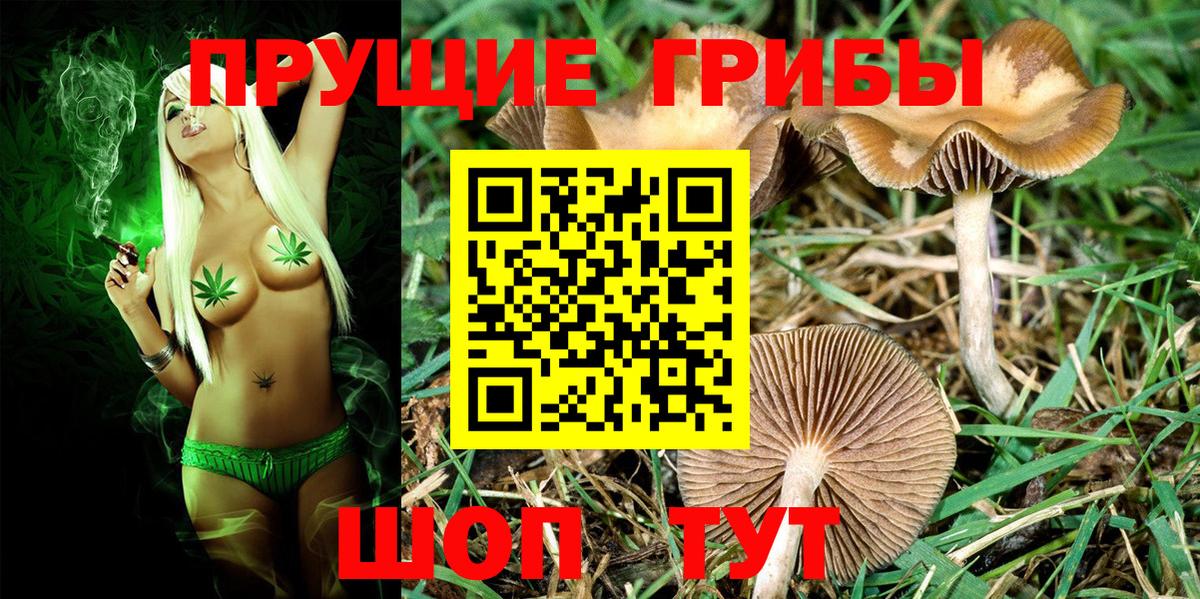 Конопля Ливны